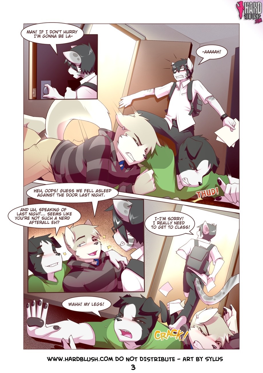 Page 3